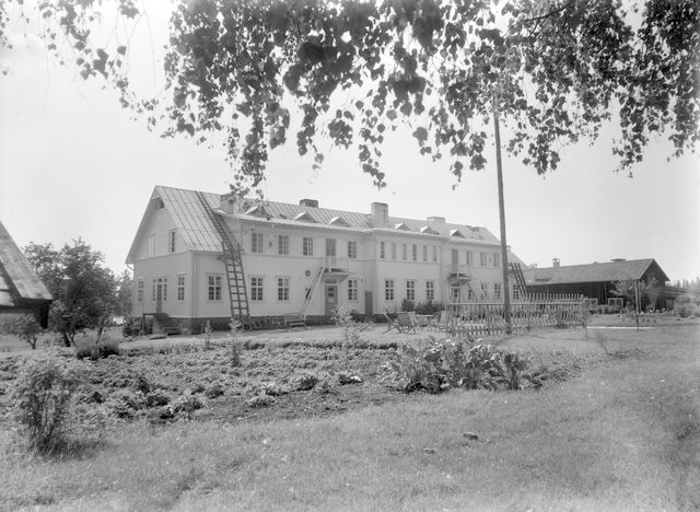 Vanhalle Uutta K ytt Siikainen Luontoa K yd Edell Vanhalle Uutta K ytt Siikainen Luontoa K yd Edell